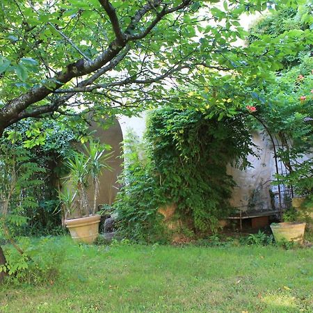 Saint-Martin-le-Vieil阿贝维尔隆格旅馆住宿加早餐旅馆 外观 照片
