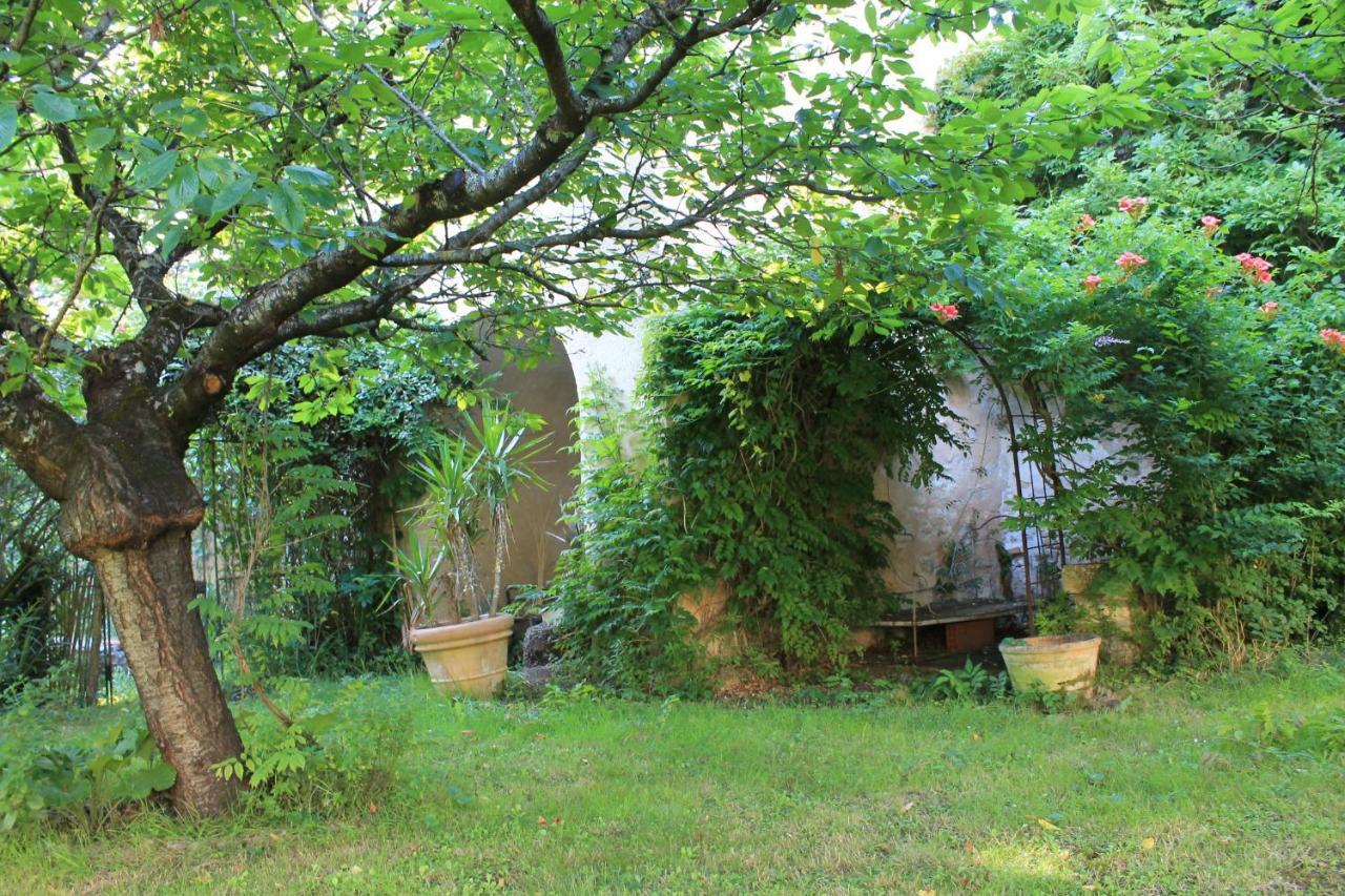 Saint-Martin-le-Vieil阿贝维尔隆格旅馆住宿加早餐旅馆 外观 照片
