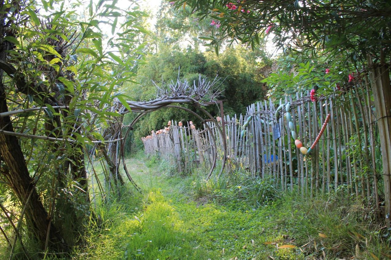 Saint-Martin-le-Vieil阿贝维尔隆格旅馆住宿加早餐旅馆 外观 照片