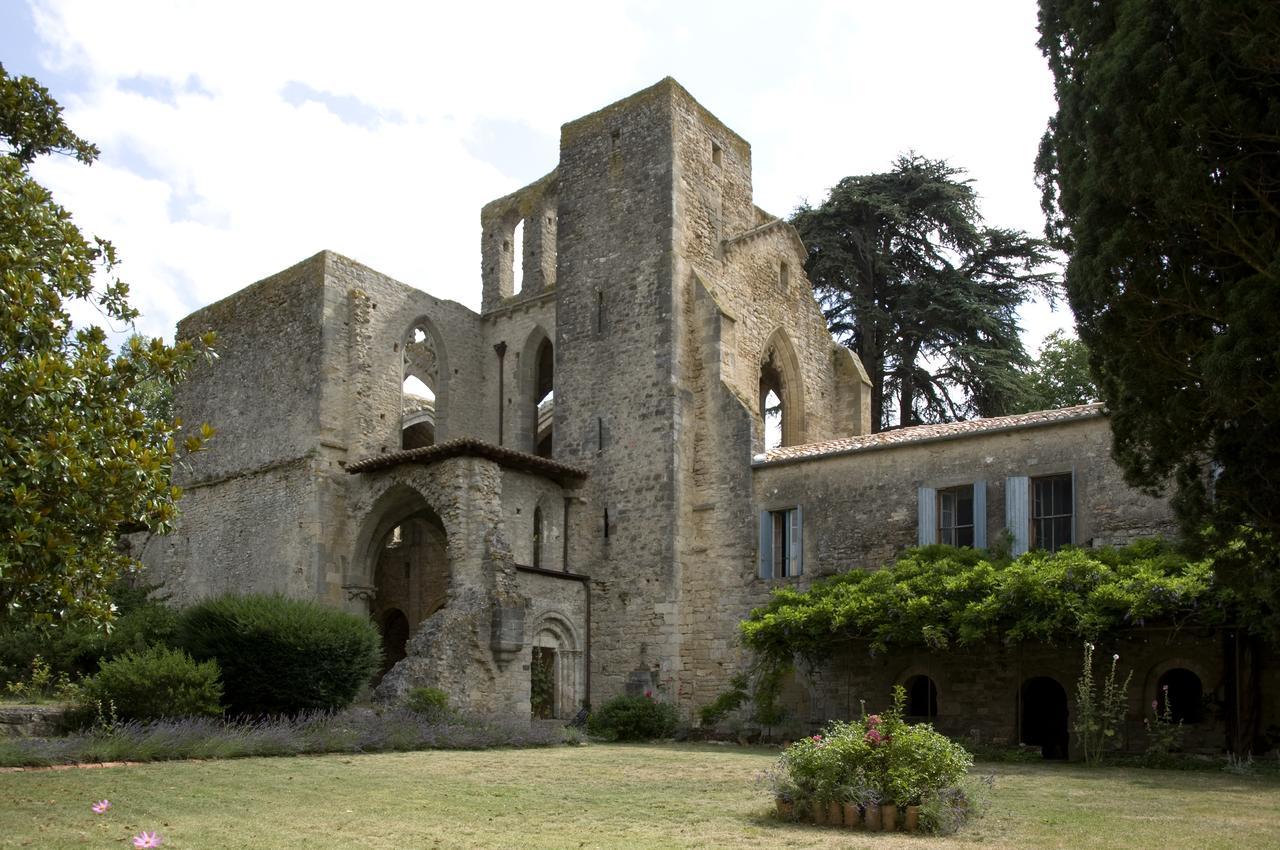 Saint-Martin-le-Vieil阿贝维尔隆格旅馆住宿加早餐旅馆 外观 照片
