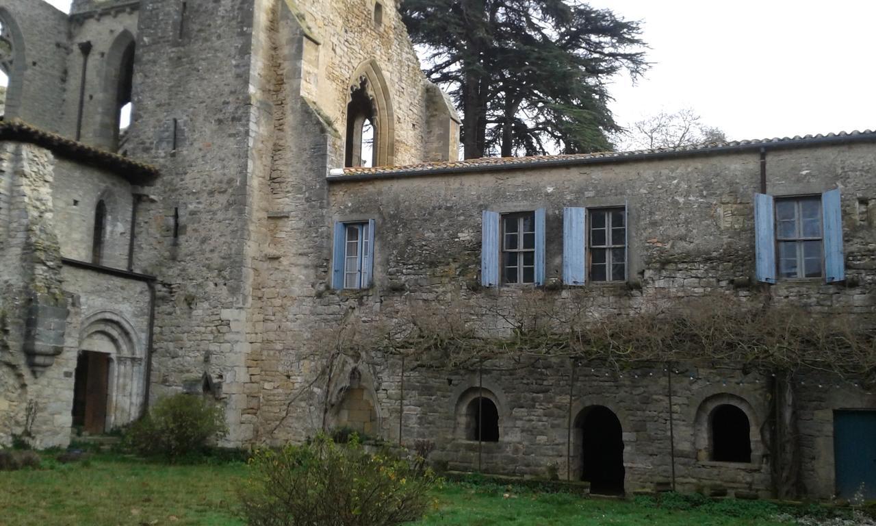 Saint-Martin-le-Vieil阿贝维尔隆格旅馆住宿加早餐旅馆 外观 照片